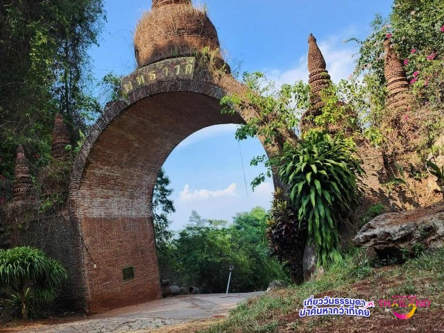 Unseen สุราษฎร์ธานีที่ต้องห้ามพลาด – อุทยานธรรมเขานาในหลวง