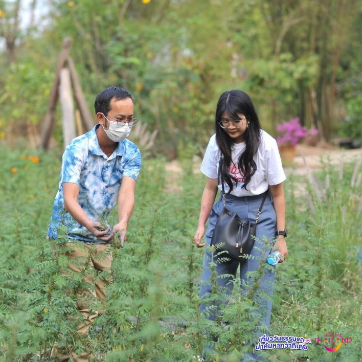 ผ้าครามสกล ผ้าย้อมคราม สีธรรมชาติ จากภูมิปัญญาท้องถิ่น