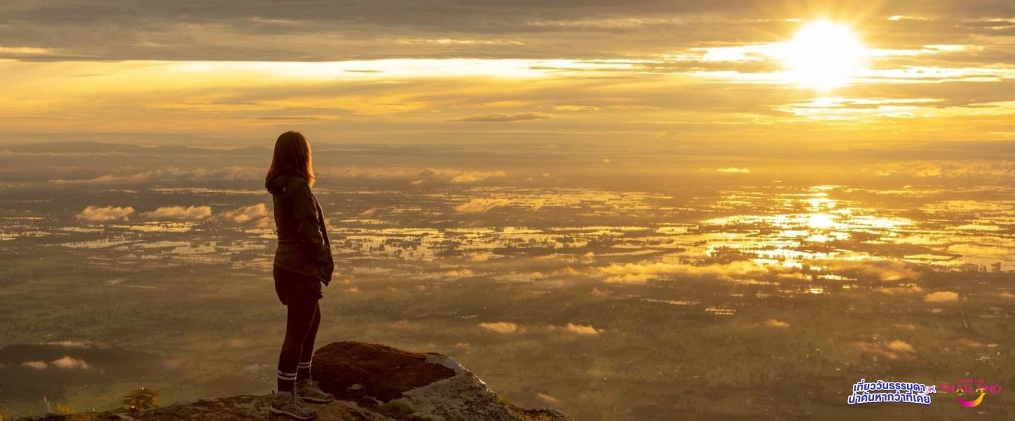 ป่าแรกที่เขาหลวงสุโขทัย