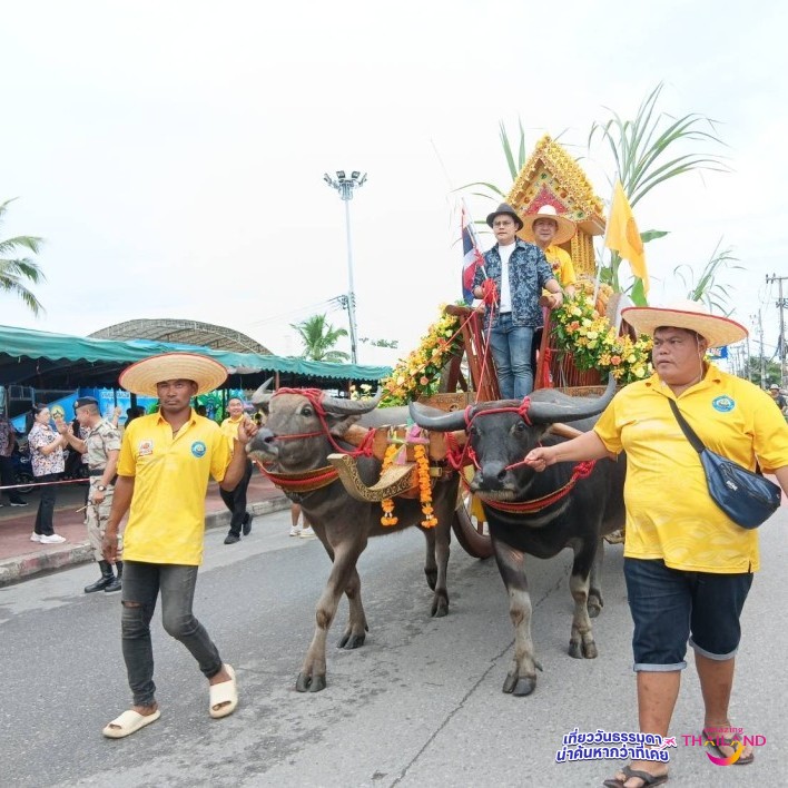 งานประเพณีวิ่งควายจ.ชลบุรี ประจำปี2568