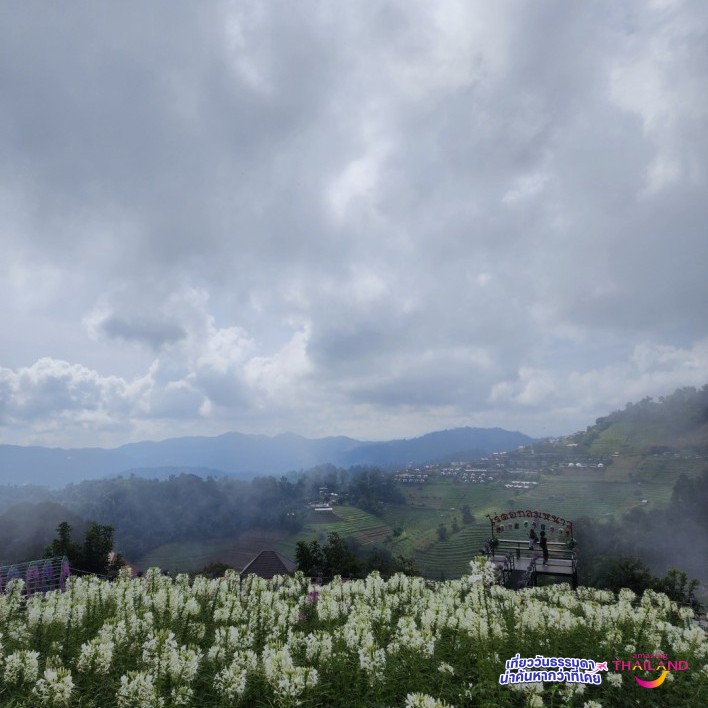 มนเสน่ห์แห่งขุนเขา จังหวัดเชียงใหม่ ณ ดอยม่อนแจ่ม