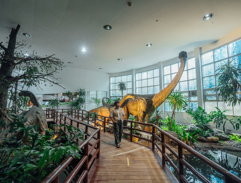 พิพิธภัณฑ์ไดโนเสาร์ภูเวียง <small>จ.ขอนแก่น</small>