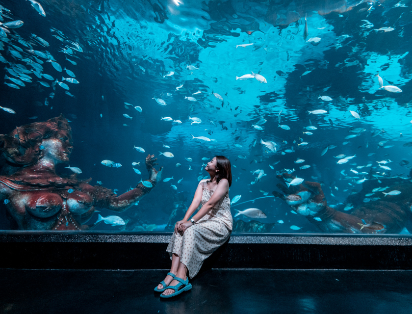 Aquaria Phuket <small>จ.ภูเก็ต</small>