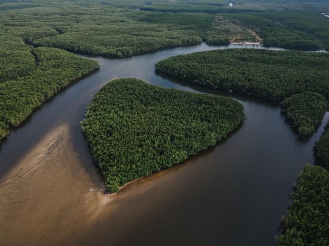 เขาจมป่า <small>จ.ตรัง</small>